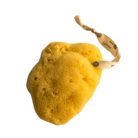 Nested | Fina Silk Natural Sea Sponge XL