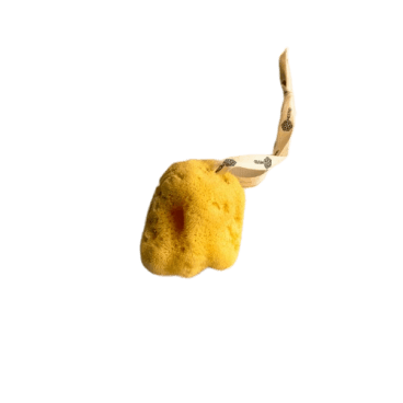 Nested | Fina Silk Natural Sea Sponge